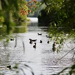 An Der Donau Direkt Bei Regensburg, 5 Sterne Dtv Tatil Evi *