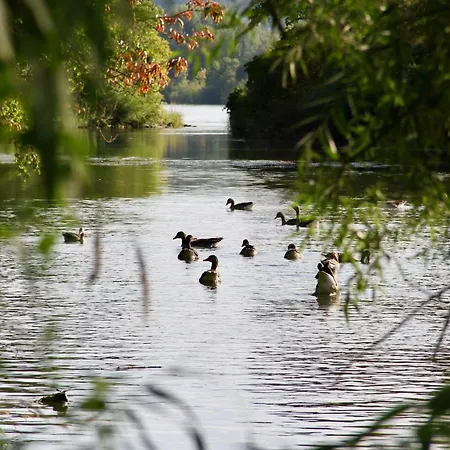 An Der Donau Direkt Bei Regensburg, 5 Sterne Dtv Holiday home *